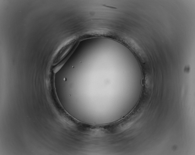 X0000101690396200807241414