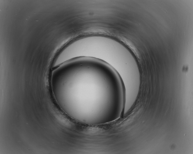 X0000101690399200807241414