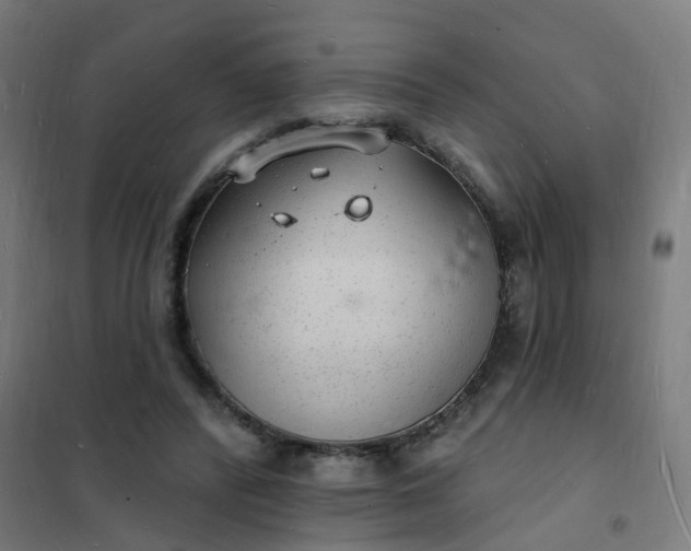 X0000101690400200807241414