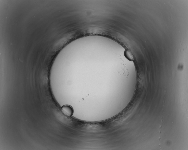 X0000101690401200807241414