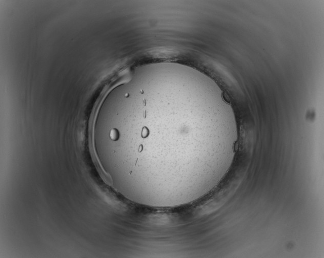 X0000101690404200807241413