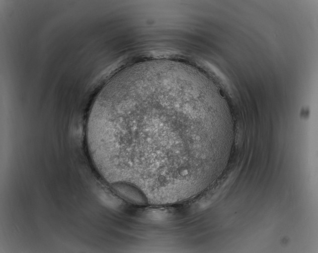 X0000101690405200807241413