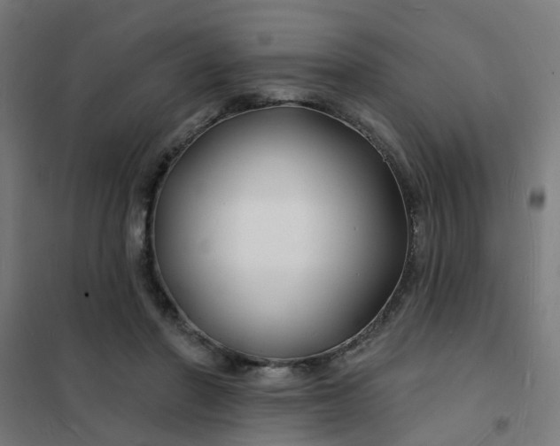 X0000101690406200807241413