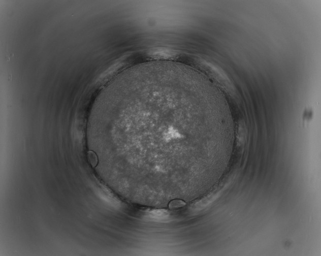 X0000101690409200807241413