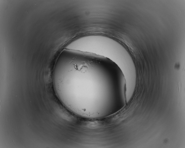 X0000101690411200807241413