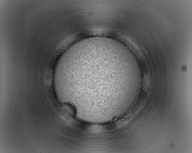 X0000101690413200807241413