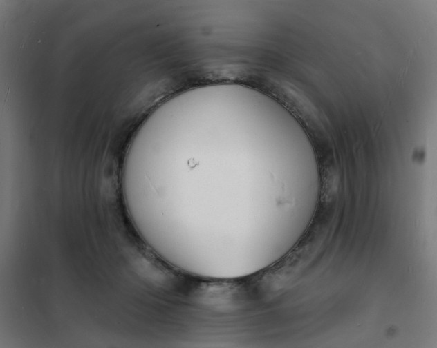 X0000101690414200807241413