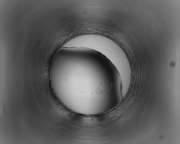 X0000101690415200807241413