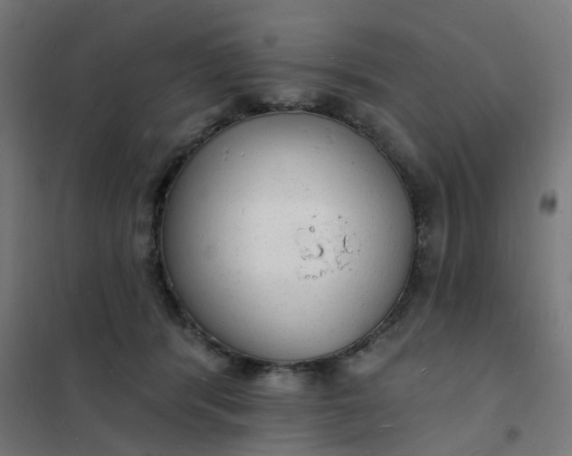 X0000101690416200807241413