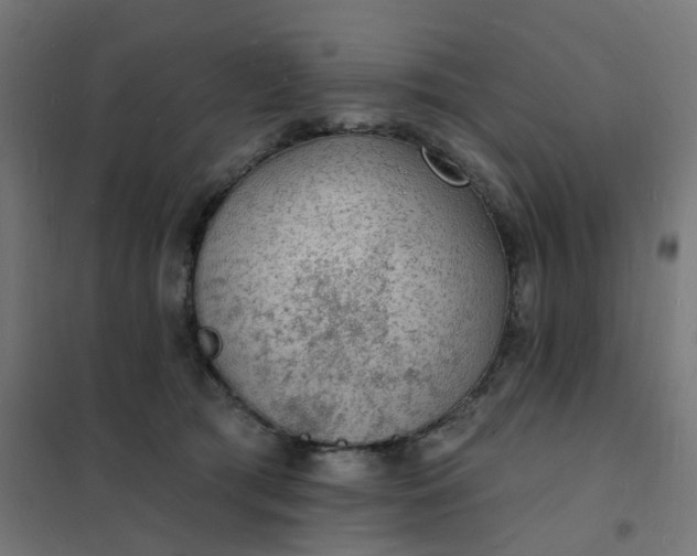 X0000101690417200807241413