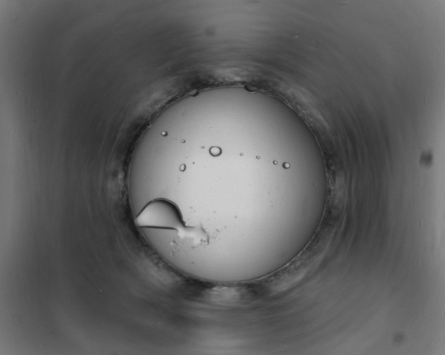 X0000101690418200807241413