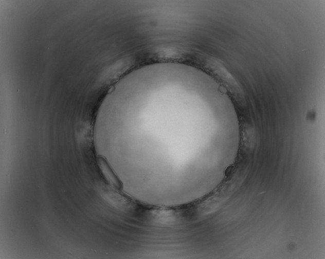 X0000101690419200807241413