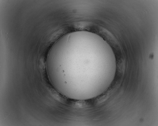 X0000101690420200807241413