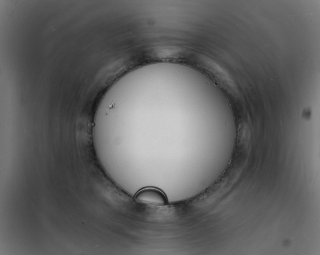 X0000101690421200807241413