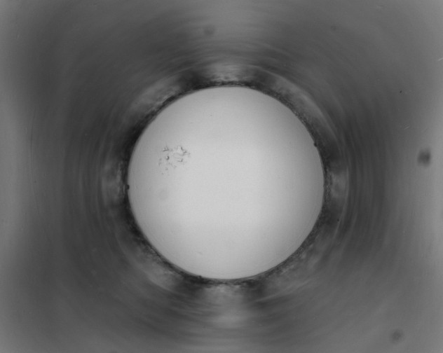 X0000101690422200807241413