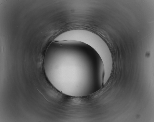 X0000101690423200807241413