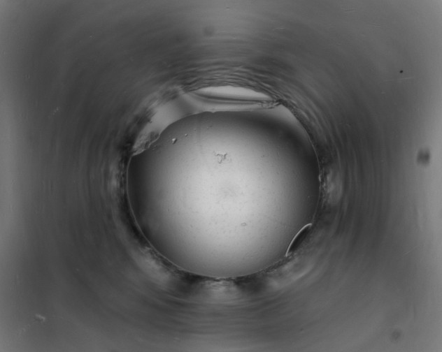 X0000101690424200807241413