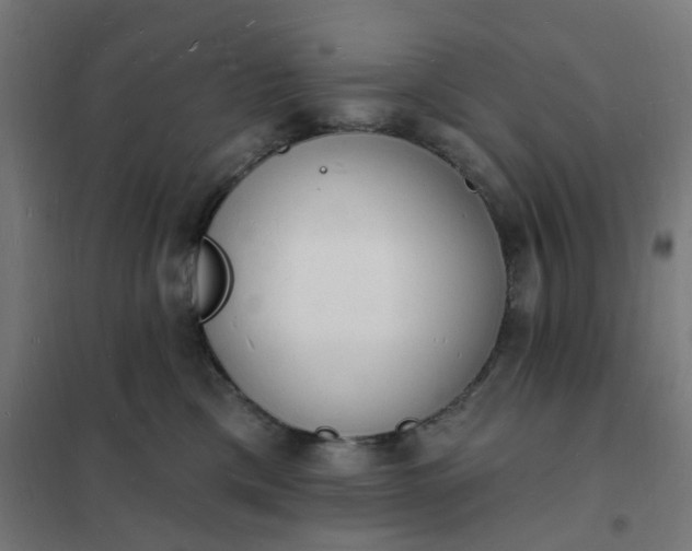 X0000101690425200807241413