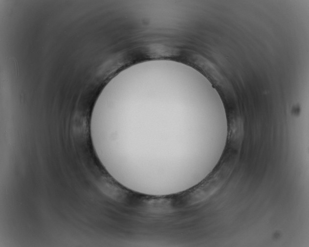 X0000101690426200807241413