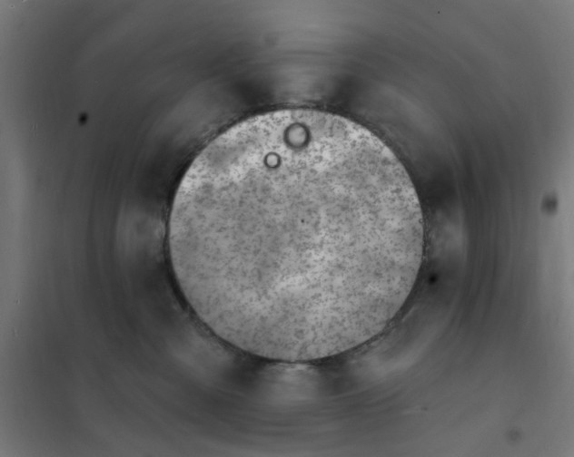 X0000101690427200807241413