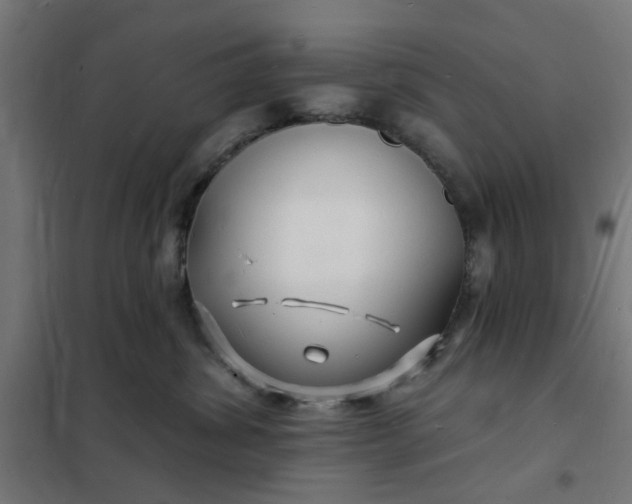 X0000101690428200807241413