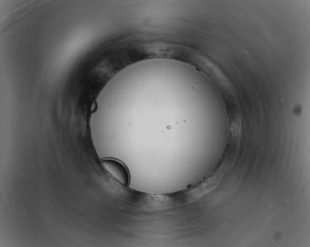 X0000101690429200807241413