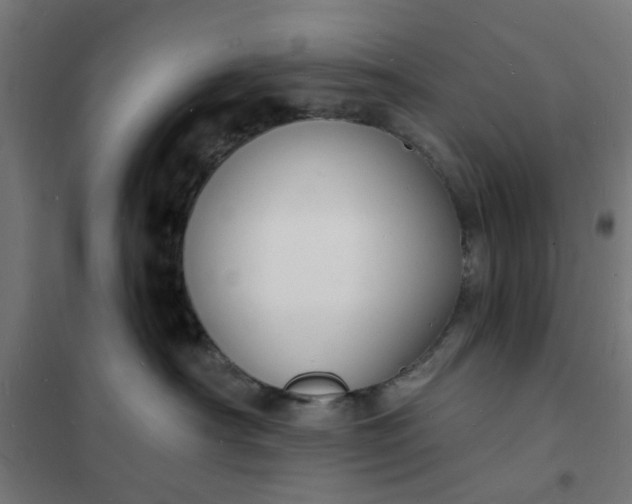 X0000101690430200807241413