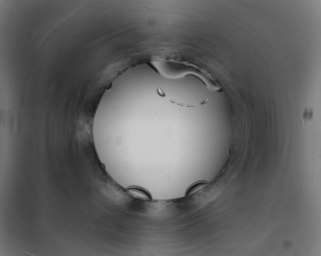 X0000101690432200807241413