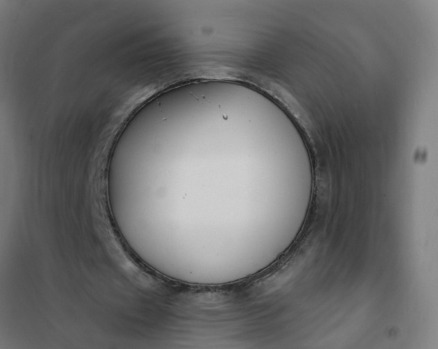 X0000101690433200807241412