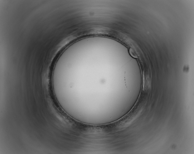 X0000101690435200807241412