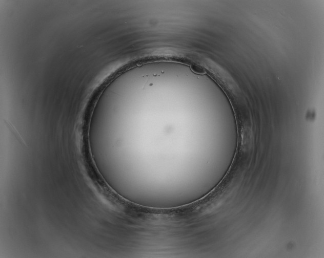 X0000101690436200807241412