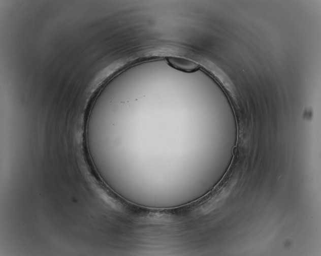 X0000101690437200807241412