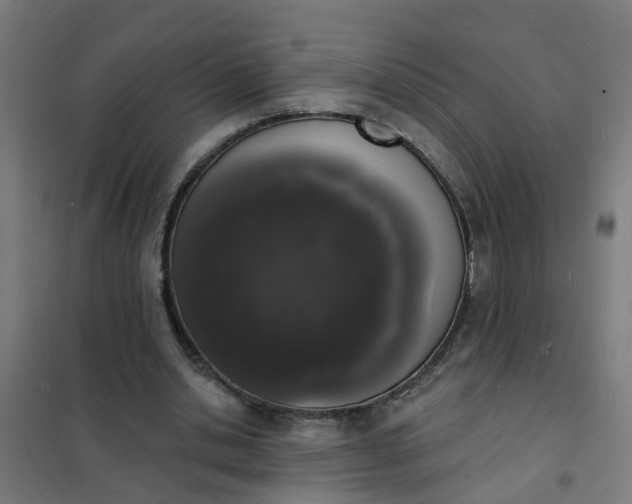 X0000101690438200807241412