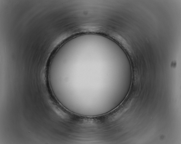 X0000101690439200807241412