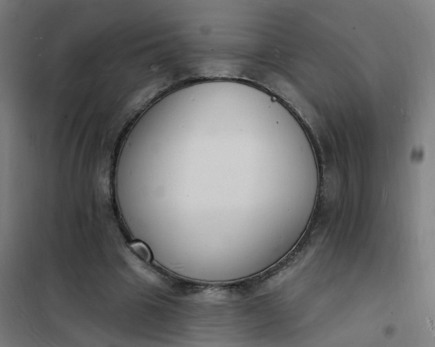 X0000101690441200807241412