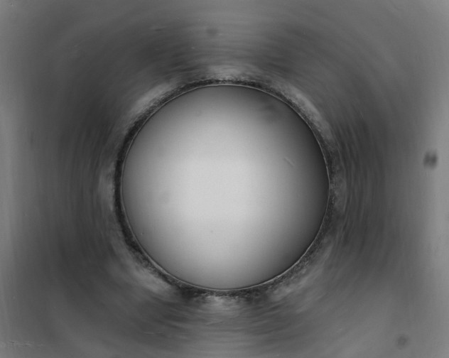 X0000101690442200807241412