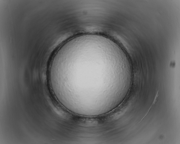 X0000101690443200807241412