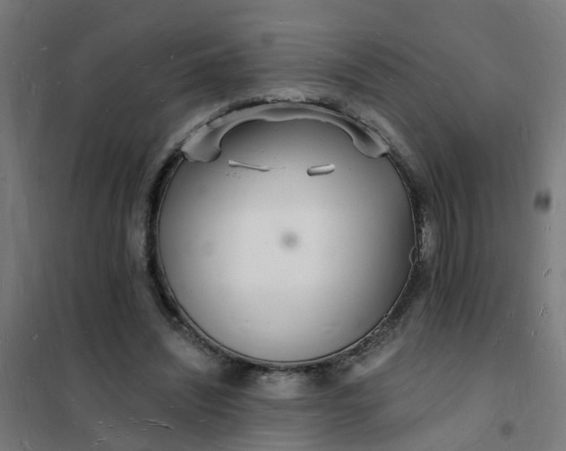 X0000101690444200807241412