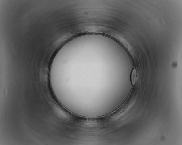 X0000101690445200807241412