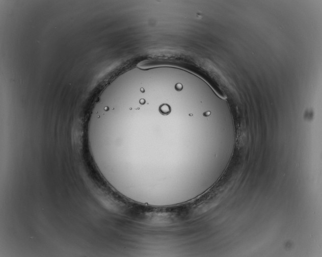 X0000101690448200807241412