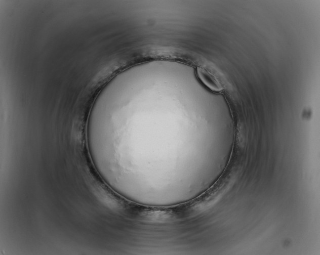 X0000101690449200807241412