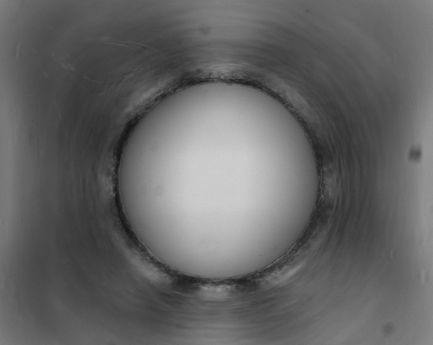 X0000101690450200807241413