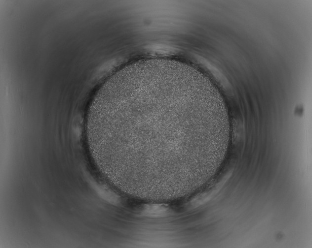 X0000101690451200807241413