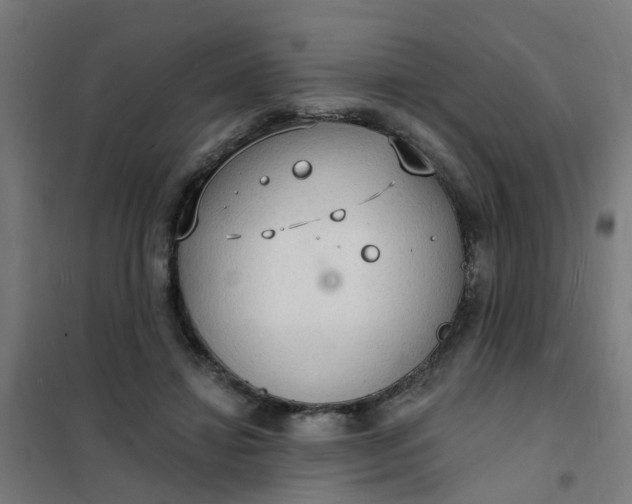 X0000101690452200807241413