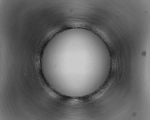 X0000101690453200807241413