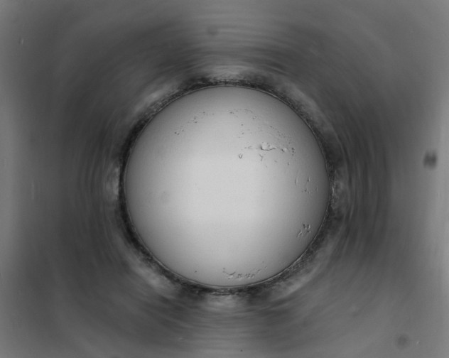 X0000101690454200807241413