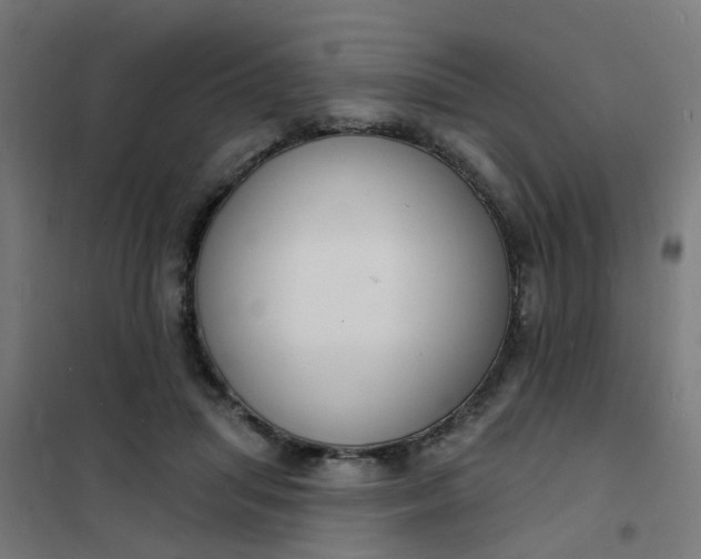 X0000101690455200807241413