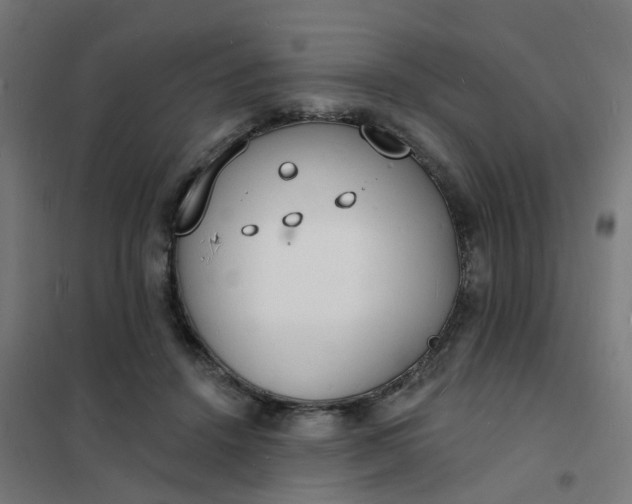 X0000101690456200807241413