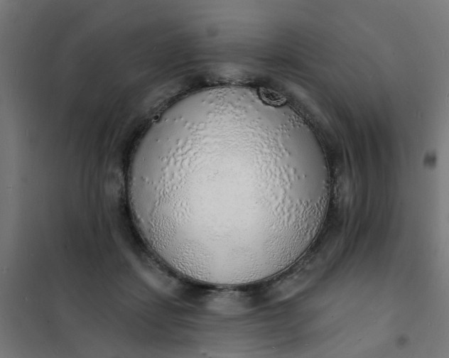 X0000101690459200807241413