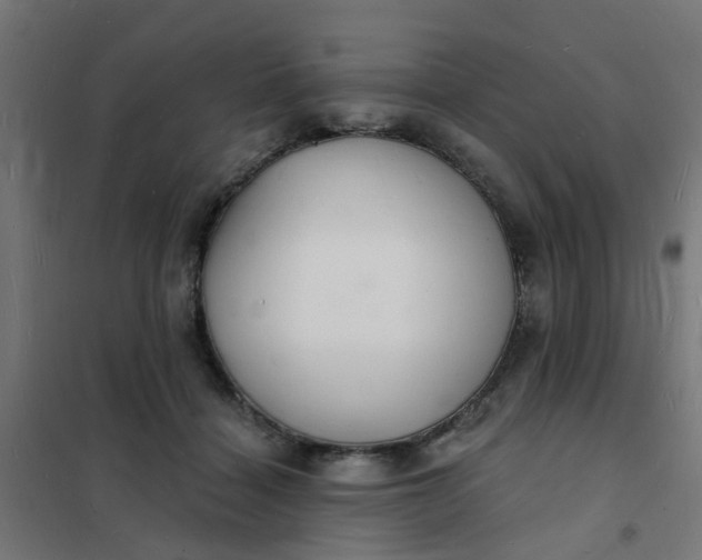 X0000101690460200807241413